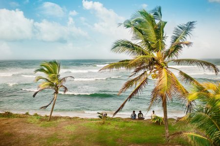 Discover the Best Time to Visit Sri Lanka