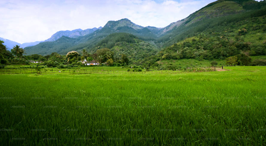 Moneragala